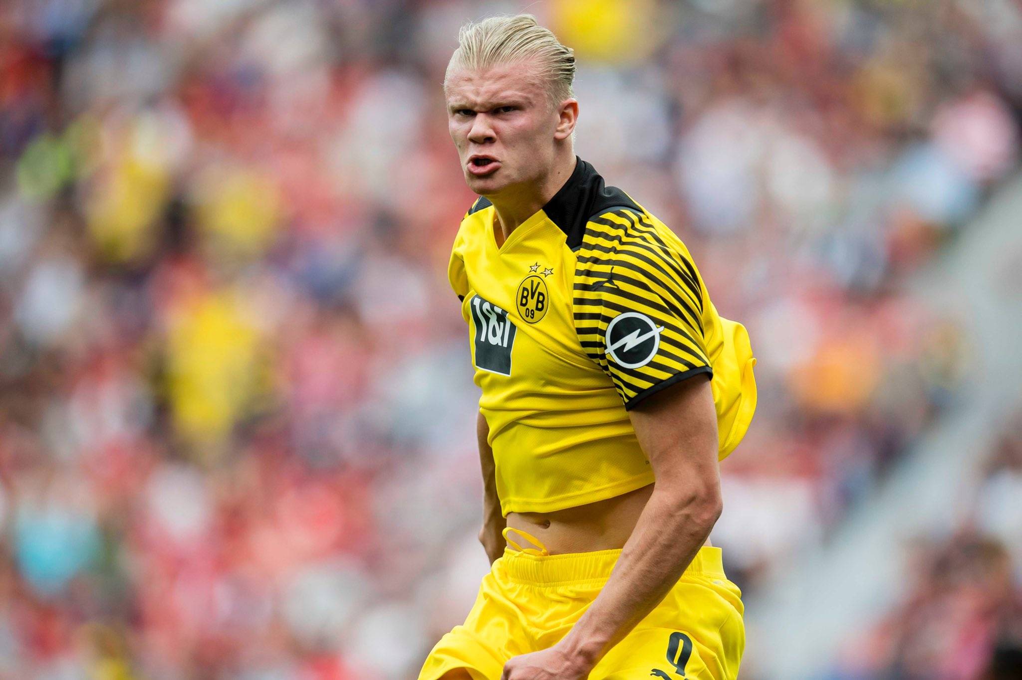 法比奥晒照：仔细看我受伤的右膝，你就知道我们队付出了一切